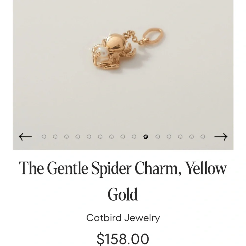 Catbird spider charm - Picture 4 of 4
